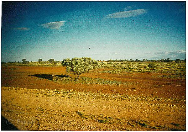Australien 1998 D1990_s.jpg